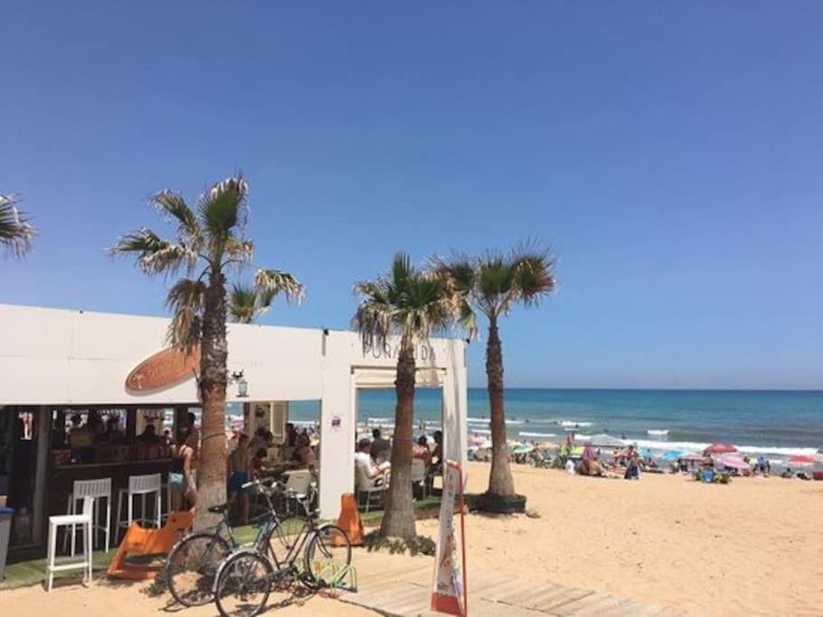 Brand New Apartment. 400 Meters Best Beach Torrevieja Exterior photo
